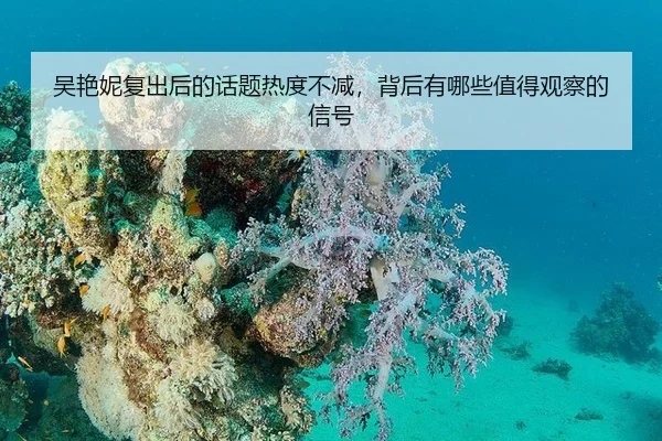 吴艳妮复出后的话题热度不减，背后有哪些值得观察的信号
