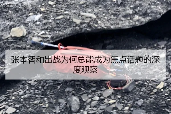 张本智和出战为何总能成为焦点话题的深度观察